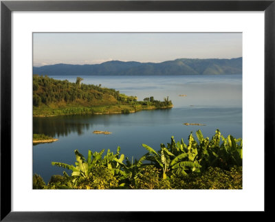 Cultivation On The Shores Of Lake Kivu, Rwanda by Ariadne Van Zandbergen Pricing Limited Edition Print image