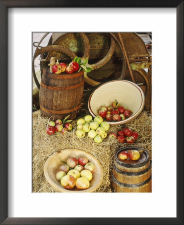 Somerset Cider Apples by Tim Macmillan Pricing Limited Edition Print image