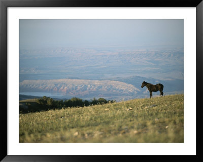 A Wild Horse Stands On A Hill Overlooking A Huge Western Landscape by Chris Johns Pricing Limited Edition Print image