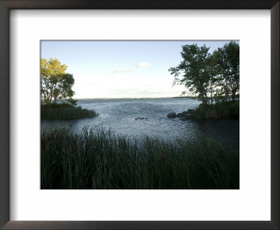 Scenic View Along The Shores Of Leech Lake In Minnesota by Joel Sartore Pricing Limited Edition Print image