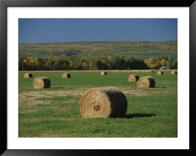 A View Of Manitoba Escarpment by Raymond Gehman Pricing Limited Edition Print image