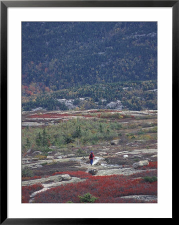 Hiking On Sargent Mountain, Maine, Usa by Jerry & Marcy Monkman Pricing Limited Edition Print image