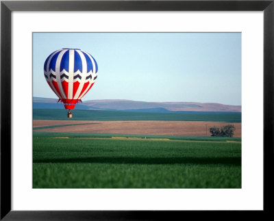 Colorful Hot Air Balloons Float Over A Wheat Field In Walla Walla, Washington, Usa by William Sutton Pricing Limited Edition Print image