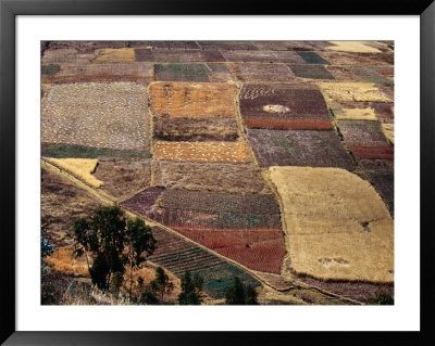 Fields In Urubamba Valley, Urubamba, Cuzco, Peru by Shannon Nace Pricing Limited Edition Print image