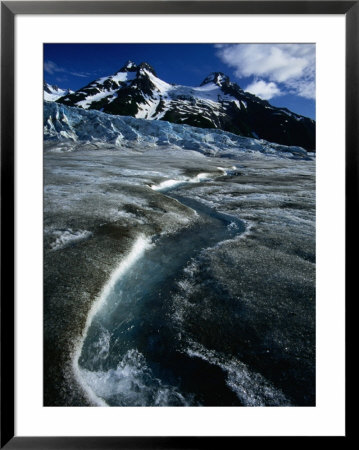 Walker Galcier In The World Heritage Site Declared Glacier Bay National Park And Preserve, Usa by Mark Newman Pricing Limited Edition Print image