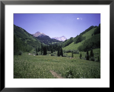 Grassland Surrounded By Mountains, Colorado by Michael Brown Pricing Limited Edition Print image