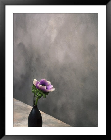 Pink Anemone In Vase by David Wasserman Pricing Limited Edition Print image