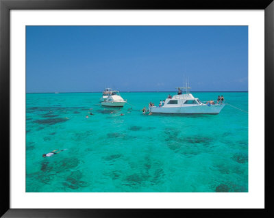 North Sound, Coral Gardens, Grand Cayman by Timothy O'keefe Pricing Limited Edition Print image