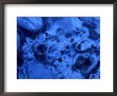 Air Bubbles Trapped In Ice, Ice Patterns, Close-Up Detail Peak District National Park, Uk by Mark Hamblin Pricing Limited Edition Print image