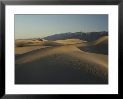 A View Of The Mesquite Sand Dunes In Death Valley by Gordon Wiltsie Pricing Limited Edition Print image