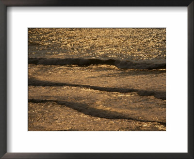 The Golden Surf Crashes On The Olympic Peninsula At Sunset by Sam Abell Pricing Limited Edition Print image