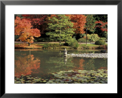 Reflecting Pool In Japanese Garden, Seattle, Washington, Usa by Jamie & Judy Wild Pricing Limited Edition Print image