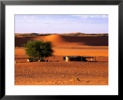 Desert Sheep Farm, Kalahari, South Africa by Ariadne Van Zandbergen Pricing Limited Edition Print image