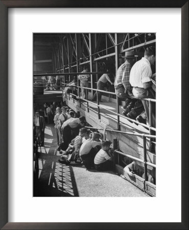 Sports Fans Attending Baseball Game At Ebbets Field by Ed Clark Pricing Limited Edition Print image