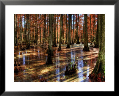 Heron Pond by Stephen Arens Pricing Limited Edition Print image