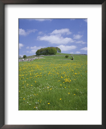 Alstonfield, Peak District National Park, Derbyshire, England, United Kingdom by Roy Rainford Pricing Limited Edition Print image