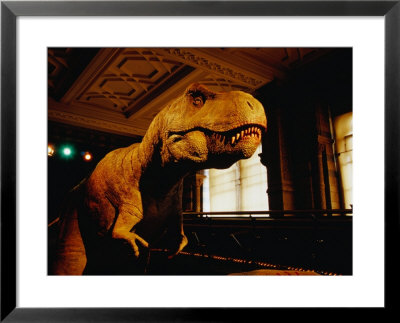 Tyrannosauraus Rex At Natural History Museum, London, Greater London, England by Glenn Beanland Pricing Limited Edition Print image