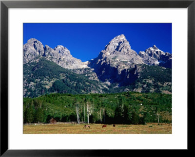 Grand Teton, Near Cottonwood Creek, Grand Teton National Park, Wyoming by David Tomlinson Pricing Limited Edition Print image
