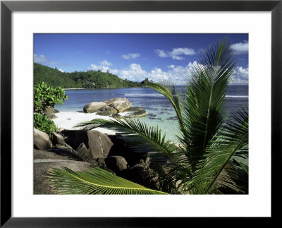 Seychelles, Indian Ocean, Africa by R H Productions Pricing Limited Edition Print image