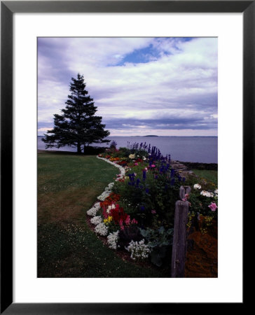 Flower Bed And Tree Overlooking The Water by Sam Abell Pricing Limited Edition Print image