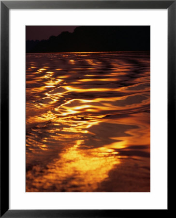 Sunlight Reflecting Off The Dark Water Of The Rio Negro, Amazonas, Brazil by Tom Cockrem Pricing Limited Edition Print image