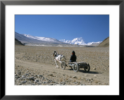 Farmer Going Home Near Tingri, Cho Oyu And Himalayas In Distance, Tibetan Plateau, Tibet, China by Tony Waltham Pricing Limited Edition Print image
