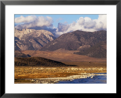 Mono Lake And High Sierra At Sunrise, Mono Lake, California by Brent Winebrenner Pricing Limited Edition Print image