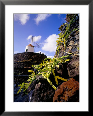 Cacti And Windmill At Jardin De Los Cactus, Lanzarote, Spain by Marco Simoni Pricing Limited Edition Print image