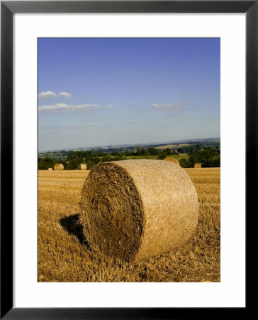 Hay Bales, Seen From The Cotswolds Way Footpath, The Cotswolds, Gloucestershire, England by David Hughes Pricing Limited Edition Print image