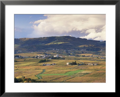 Vineyards Near Beaujeu, Beaujolais-Rhone Wine Area, Rhone Alpes, France by Michael Busselle Pricing Limited Edition Print image