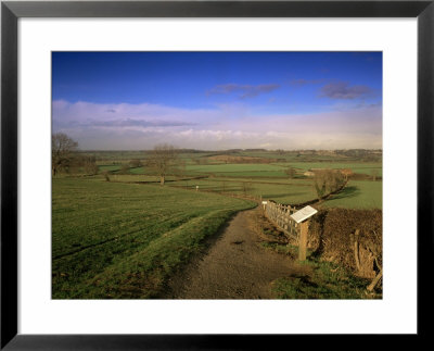 Bosworth Battlefield Country Park, Site Of The Battle Of Bosworth In 1485, Leicestershire, England by David Hughes Pricing Limited Edition Print image