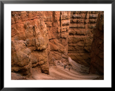 Wall Street Canyon Sides, Bryce Canyon National Park, Utah, Usa by Lawrence Worcester Pricing Limited Edition Print image