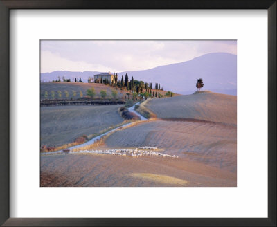 Landscape Near Pienza, Siena Province, Tuscany, Italy by Bruno Morandi Pricing Limited Edition Print image