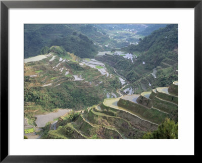 Rice Terraces At Banaue, Unesco World Heritage Site, Northern Region, Island Of Luzon, Philippines by Bruno Barbier Pricing Limited Edition Print image