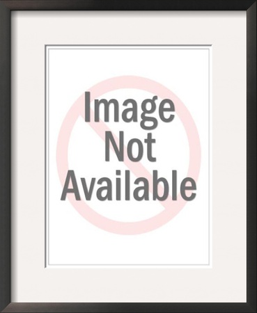 Negev Desert, Israel by Eyal Bartov Pricing Limited Edition Print image