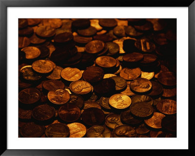 Mound Of Pennies by Joel Sartore Pricing Limited Edition Print image
