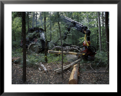 Valmet Forwarder, Green Certification, Logging, Maine, Usa by Jerry & Marcy Monkman Pricing Limited Edition Print image
