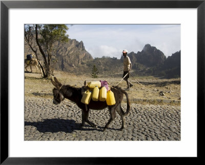 Donkey Carrying Water, Santo Antao, Cape Verde Islands, Africa by R H Productions Pricing Limited Edition Print image