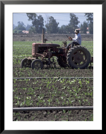 Farmer Sitting On Tractor by Steve Essig Pricing Limited Edition Print image