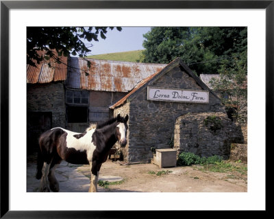 Riding Stables, Malmstead, Devon, England by Nik Wheeler Pricing Limited Edition Print image
