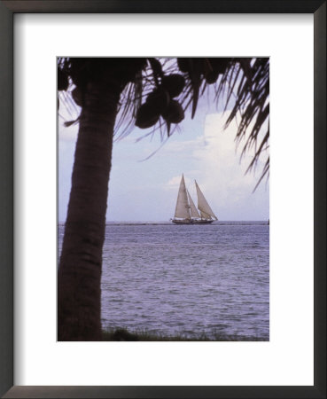 Coconut Tree, Sailboat, Morrea, Tahiti by Scott Christopher Pricing Limited Edition Print image