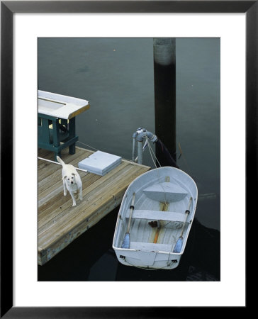 A Dog Waits On A Dock Near A Small Row Boat by Raymond Gehman Pricing Limited Edition Print image