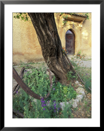 Garden Courtyard Of 17Th Century Kasbah, Morocco by John & Lisa Merrill Pricing Limited Edition Print image