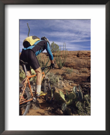 Rider Cycling Through Cacti, Arizona by David Edwards Pricing Limited Edition Print image