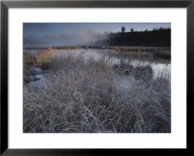 Frost-Covered Grasses And Early Morning Mist Over Teton Marsh Area by Raymond Gehman Pricing Limited Edition Print image