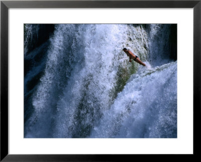 Man Leaping Off One Of The Skradinski Buk Waterfalls, Krka National Park, Sibenik-Knin, Croatia by Martin Moos Pricing Limited Edition Print image