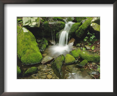 Moss-Covered Rocks Along A Stream At The Chimneys In Late Spring, Tennessee, Usa by Willard Clay Pricing Limited Edition Print image