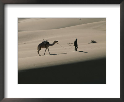 John Hare Leads His Camel Through The Dunes Of The Sahara Desert by Peter Carsten Pricing Limited Edition Print image