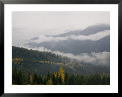 A Foggy And Misty Day In The Pacific Northwest by Taylor S. Kennedy Pricing Limited Edition Print image