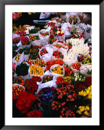 Tulips For Sale In Grafton Street, Dublin, Ireland by Doug Mckinlay Pricing Limited Edition Print image